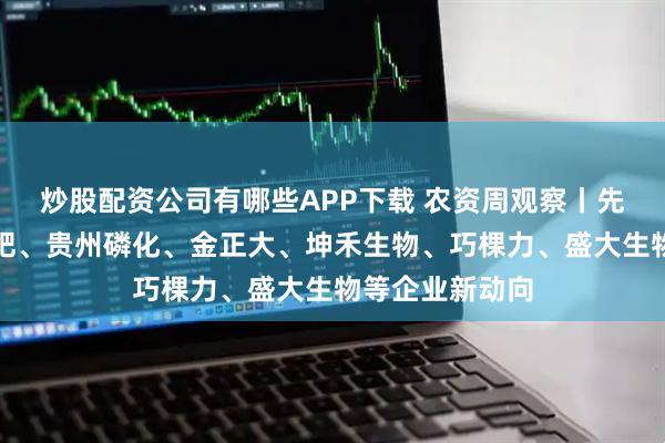 炒股配资公司有哪些APP下载 农资周观察丨先正达、中化化肥、贵州磷化、金正大、坤禾生物、巧棵力、盛大生物等企业新动向