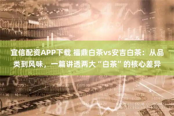 宜信配资APP下载 福鼎白茶vs安吉白茶：从品类到风味，一篇讲透两大“白茶”的核心差异