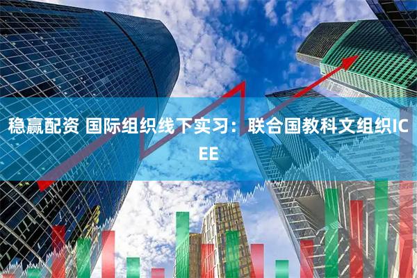 稳赢配资 国际组织线下实习：联合国教科文组织ICEE